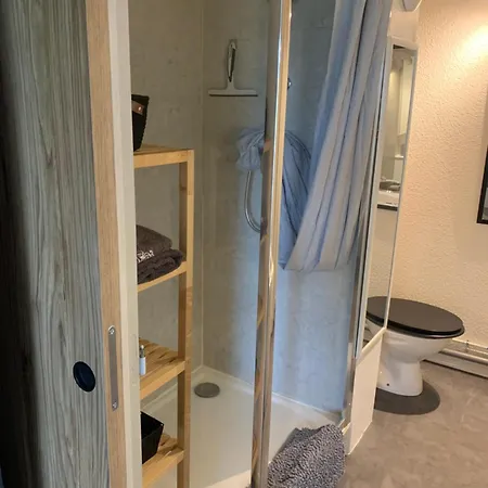 Touristes Curistes , Jardin Terrasse Daire *